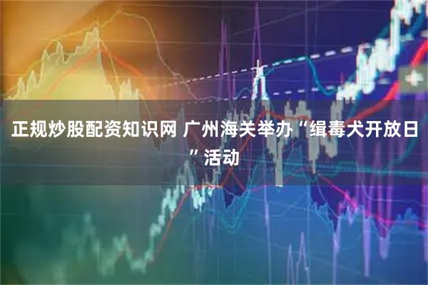 正规炒股配资知识网 广州海关举办“缉毒犬开放日”活动